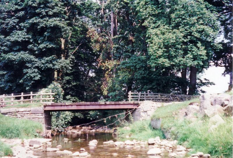 Wooden Bridge - Wey Ings.JPG - Wooden Bridge at Wey Ings.